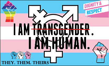 DMAD Trans Blog